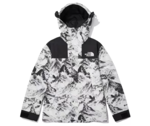 Ao The North Face Novelty 'White Black' NJ2GN60B