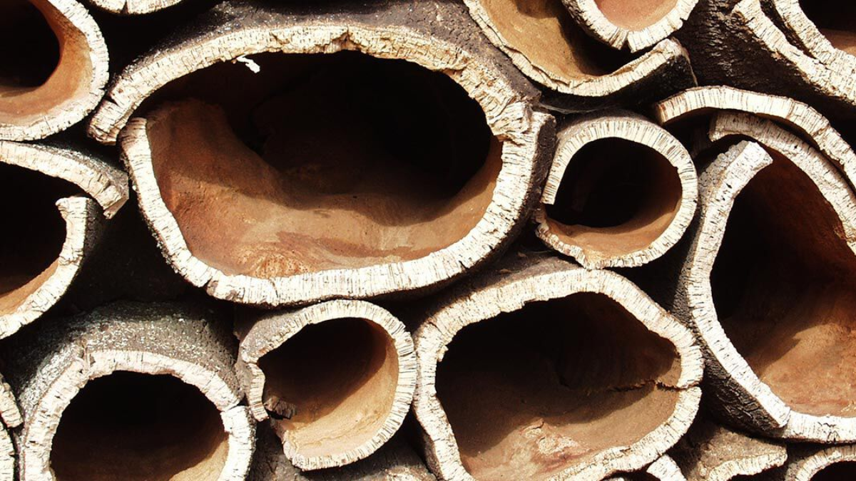 Birkenstock đã đóng góp thế nào vào môi trường bền vững? Hinh anh 3: Birkenstock da dong gop the nao vao moi truong ben vung?