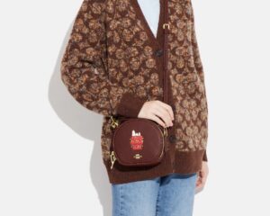 Tui Coach Snoopy Lights Motif 'Brown' CE844-IMMZI