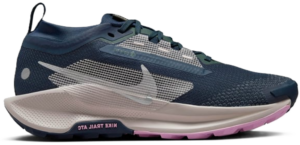 Giay Nike Pegasus Trail 5 Gore-Tex 'Black Wolf Grey' FQ0912-400