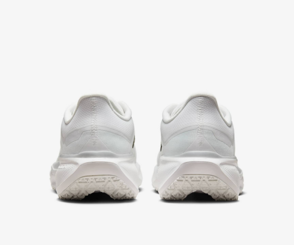 Giay Nike Air Zoom Pegasus 41 Gore-Tex 'Photon Dust' FQ1356-101