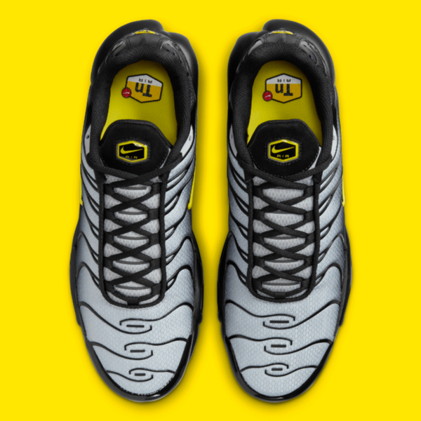 Giay Nike Air Max Plus 'Wolf Grey' DM0032-012