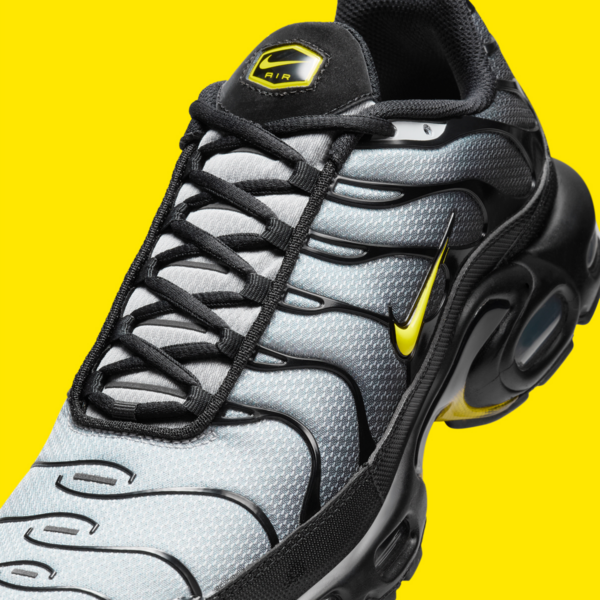 Giay Nike Air Max Plus 'Wolf Grey' DM0032-012