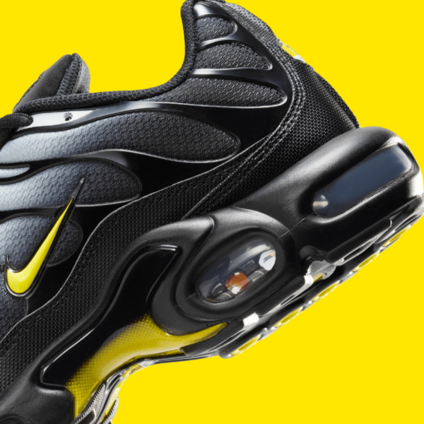 Giay Nike Air Max Plus 'Wolf Grey' DM0032-012