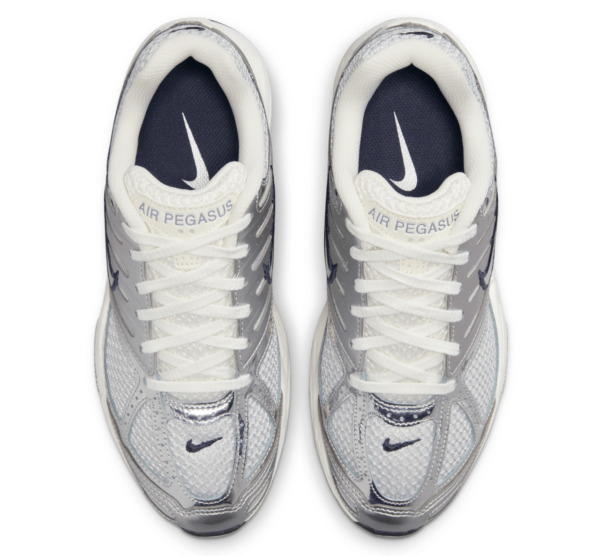 Giay Nike Air Pegasus 2K5 'Chrome' HJ7310-025
