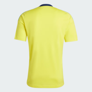 Ao Adidas Sweden 24 Home Fan Jersey 'Yellow' IP8424