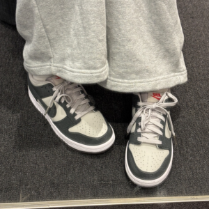 Giay Nike Dunk Low GS 'Light Iron Ore' FZ1000-001