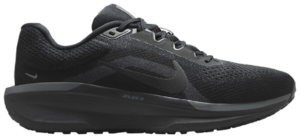 Giay Nike Air Winflo 11 'Black Anthracite' FJ9509-002