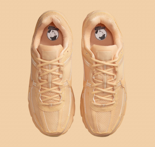 Giay Nike Air Zoom Vomero 5 'Celestial Gold' HF5493-200
