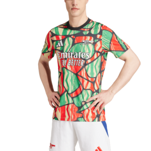 Ao Adidas Arsenal Pre-Match Jersey 'Multicolor' IS9996