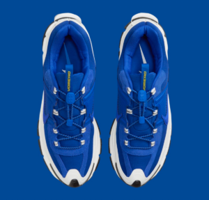 Giay Nike Zoom Vomero Roam 'Racer Blue' FV2295-400