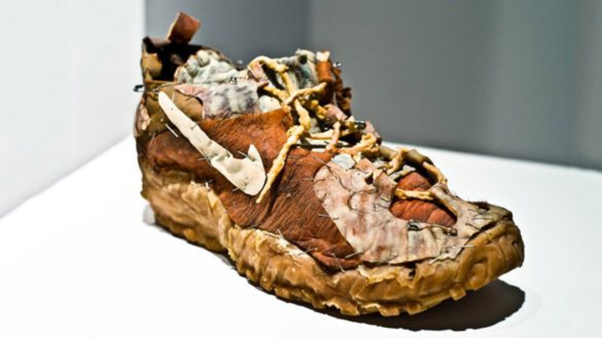 Top nhung doi giay "xau xi" den muc gay am anh!