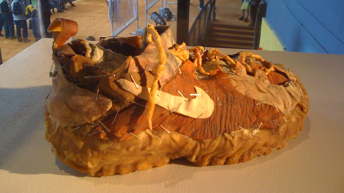 Top những đôi giày "xấu xí" đến mức gây ám ảnh! Hinh anh 17: Top nhung doi giay "xau xi" den muc gay am anh!