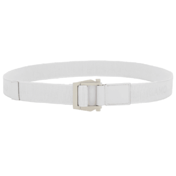 That Lung Salvatore Ferragamo Belt 'Ice' 670381-776633