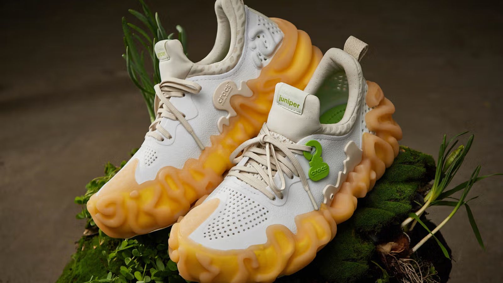 Nhìn lại 5 sự kiện sneaker đáng chú ý nhất năm 2024 Hinh anh 2: Nhin lai 5 su kien sneaker dang chu y nhat nam 2024