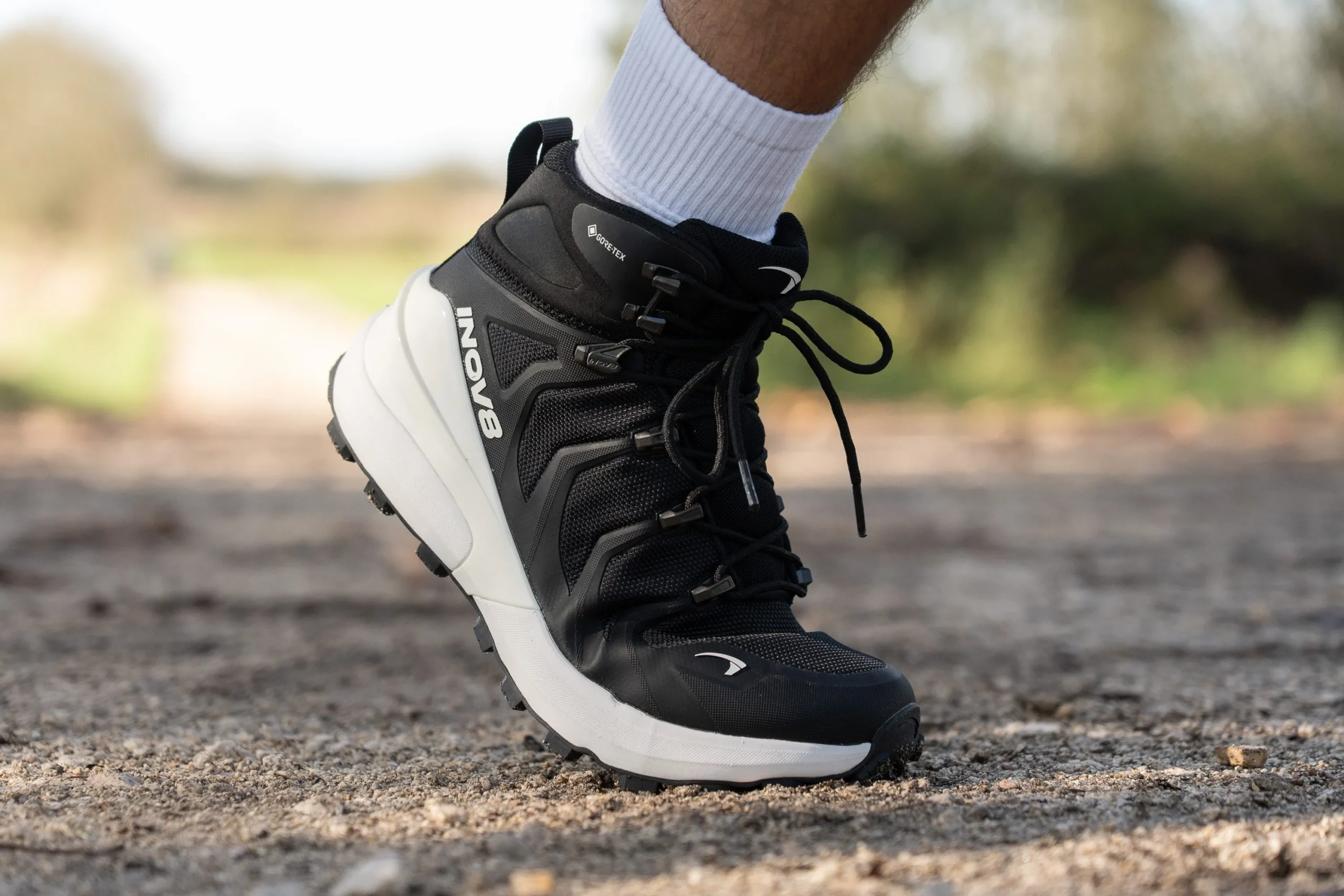 Review Inov8 Roclite Pro Mid GTX