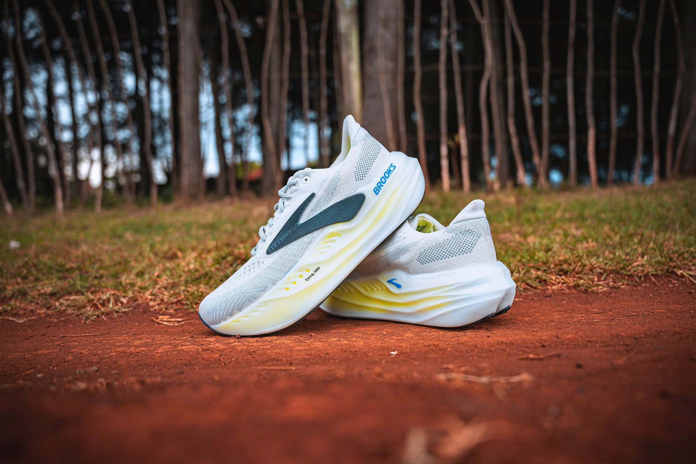 Review chi tiet Brooks Glycerin Max