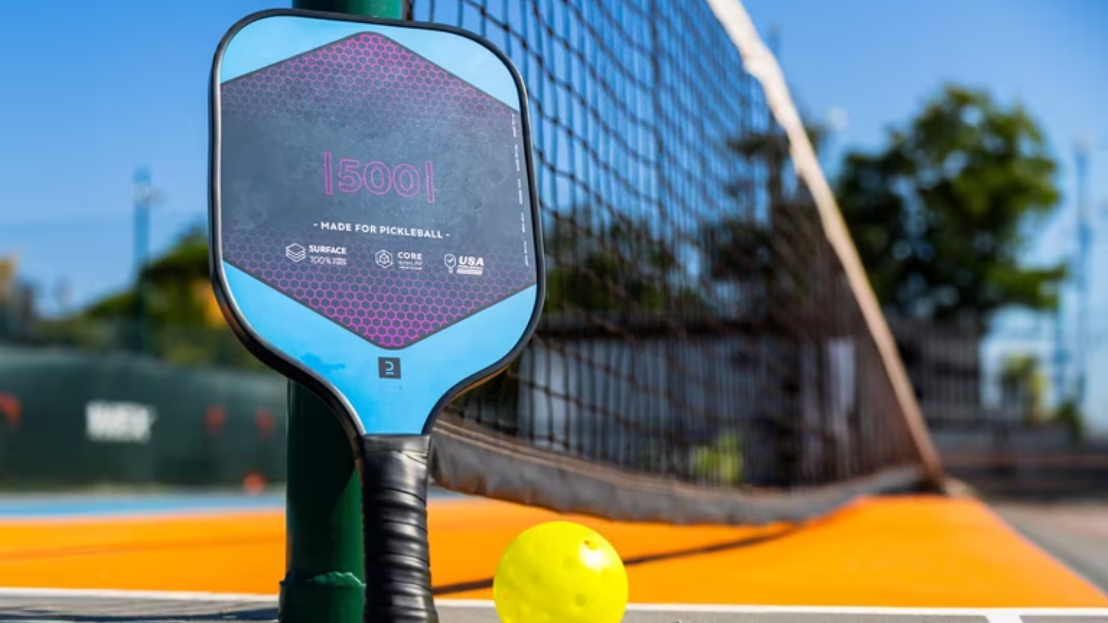 Hinh anh 1: Chon vot pickleball phu hop voi trinh do co thuc su quan trong?