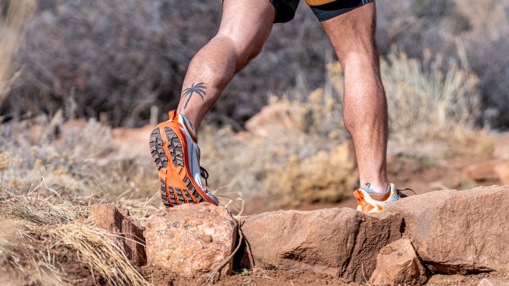 Review chi tiết về Altra Experience Wild