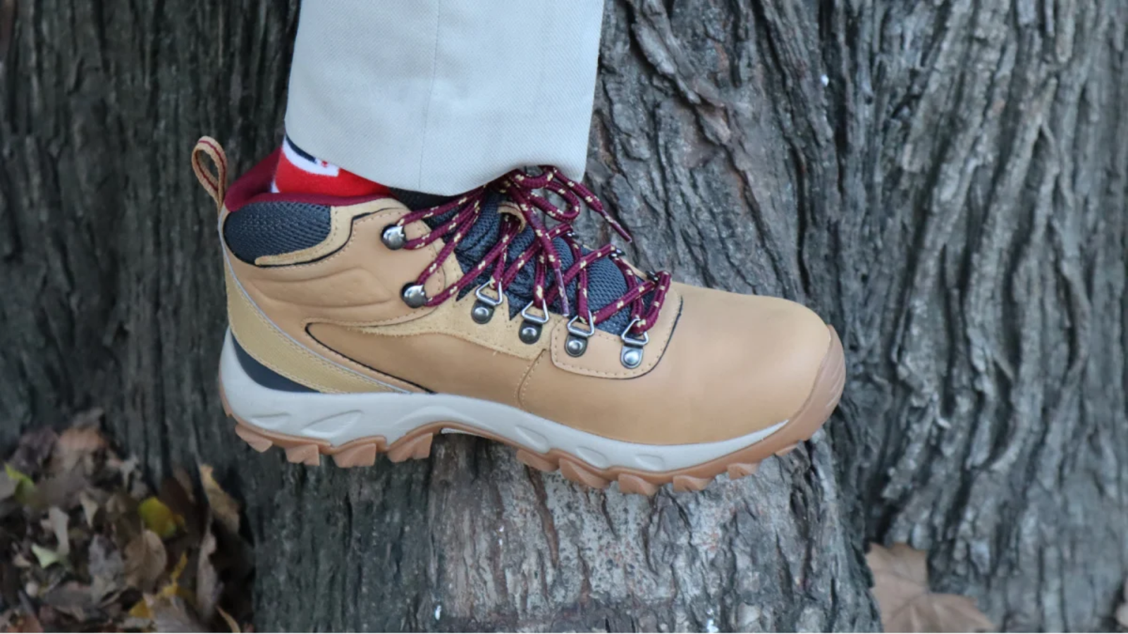 Hinh anh 5: Giay Columbia Newton Ridge Plus II Waterproof cho trekking