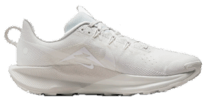 Giay Nike Pegasus Trail 5 ‘Summit White Sail’ DV3864-101