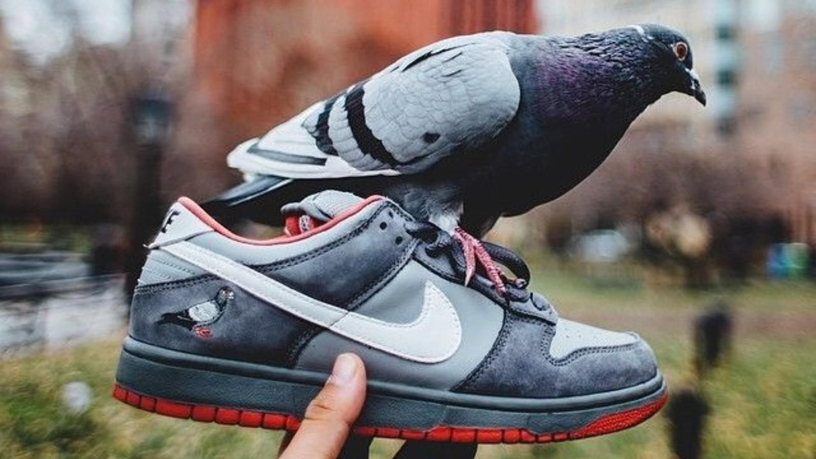 5 Đôi Nike SB Dunk Đắt Giá Nhất Mọi Thời Đại Hinh anh 1: 5 Doi Nike SB Dunk Dat Gia Nhat Moi Thoi Dai