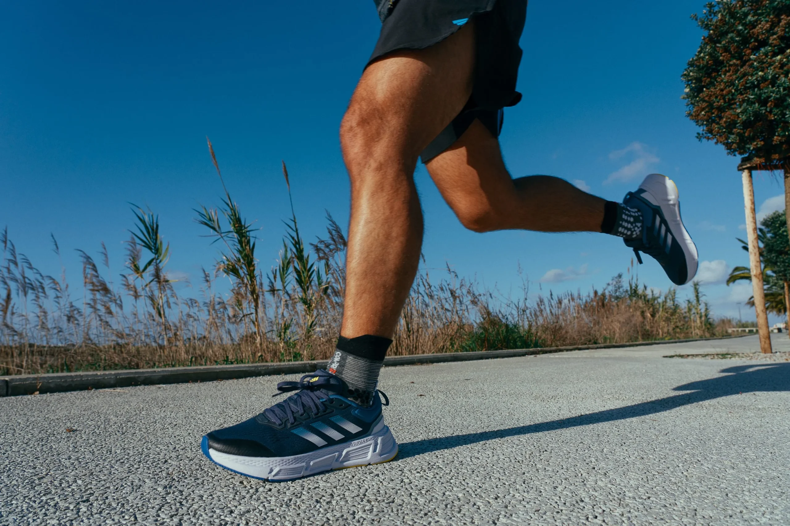 Review Adidas Questar 3 - Lựa chọn hoàn hảo cho người mới bắt đầu chạy bộ