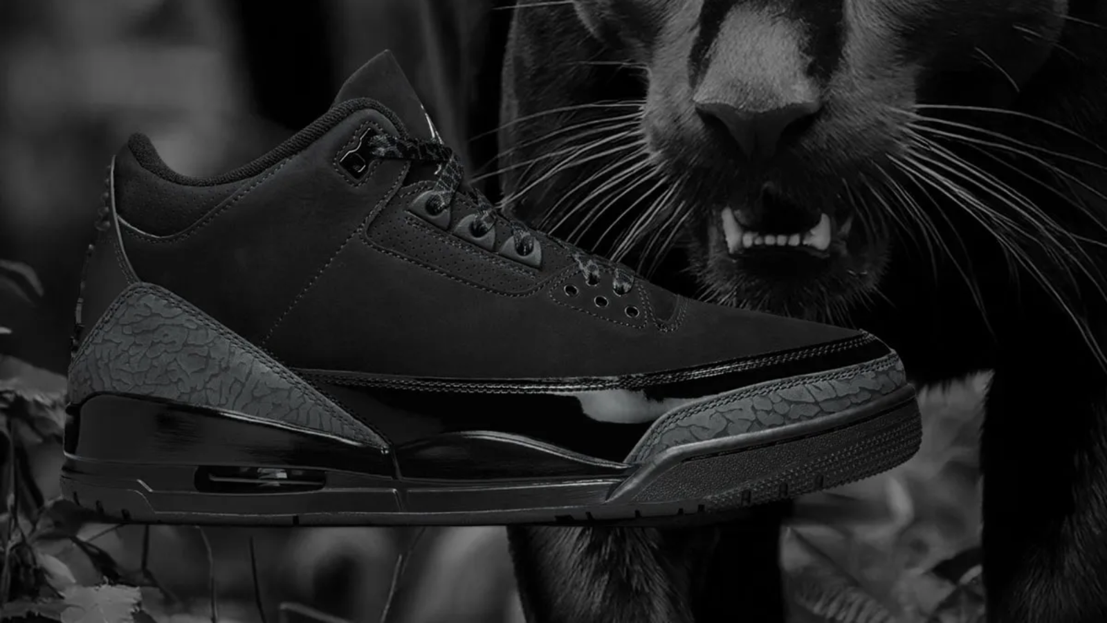 Khám phá toàn bộ lịch sử của Air Jordan ‘Black Cat’ Hinh anh 4: Kham pha toan bo lich su cua Air Jordan ‘Black Cat’