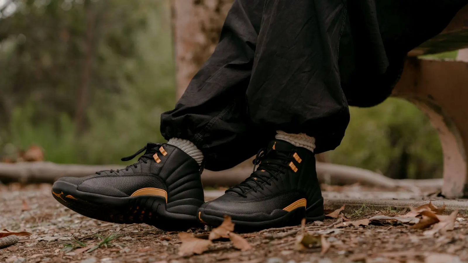 Hinh anh 3: Air Jordan cac mau giay tu AJ11 den AJ20 voi thiet ke doc dao