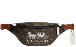 Túi Coach Leather Sling Bag 'Brown' C8421-TX0