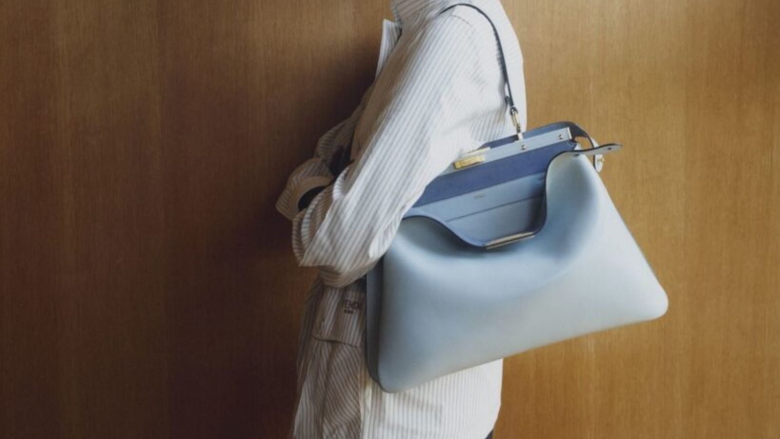 Hinh anh 2: Mau tui xach hot nhat nam 2025 tu cac thuong hieu noi tieng