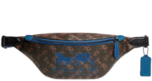 Túi Coach Charter 32 Sling Bag 'Brown' C8421-TX1